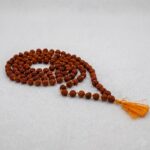 5 Mukhi Rudraksha Mala (108+1 Beads)